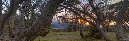 Wallace Hut - VIC H (PBH4 00 13102)